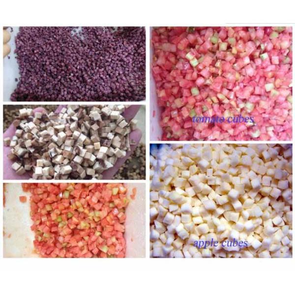 800kg/H Garlic Processing Machine