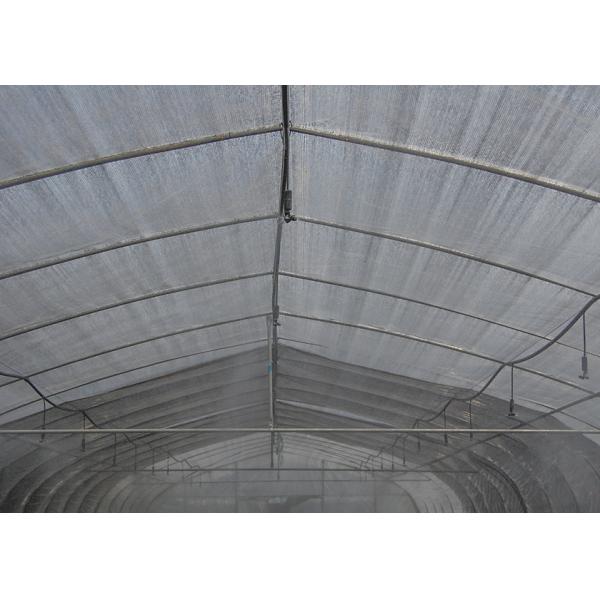 Anti Corrosion Single Span Greenhouse High Tunnel Agriculture Greenhouse With Irrigation System