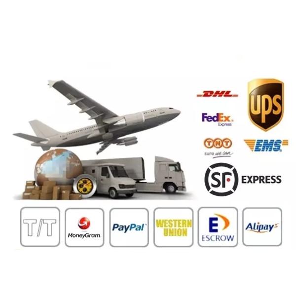 Y-F 2023 Autumn Girls Two Tone Detachable Lace Collar Crochet Kids Cotton Flower Wedding Vintage Collar