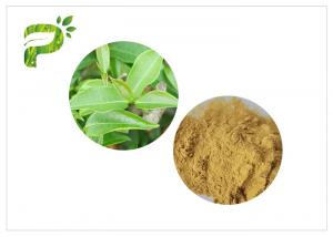 China 2.0ppm 60 Mesh Green Health Powder HPLC With Higher Tea Polyphenols on sale