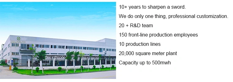 48V 60V 72V 20ah 30ah 40ah Electric Motorcycle Lithium Battery Pack for Scooter/E-Bike