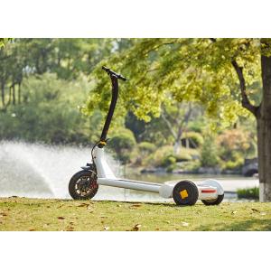 Quality Precursor Driving 250W Rain Proof Electric Scooter for sale