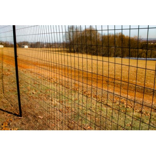 5 Ft PVC Coated Welded Metal Wire Mesh Fence 2X4 inch 14 Gauge