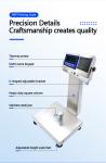 A8SP Printing Small Platform Scale with 6KG Capacity and 22cm*28cm Square