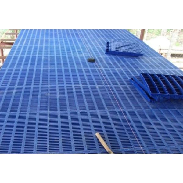 Durable Pig Farm Equipment Goat Poultry PP Plastic Slatted Floor Diffirent Size