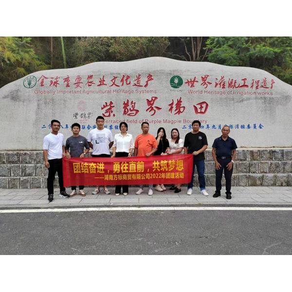 Custom 2 Way Angle Valve Power For Bathroom Switch ODM