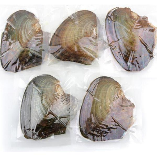 Wholesale Vacuum-packed 7-8mm A grade rice shape freshwater pearl oyster white natural Pearl Oyster