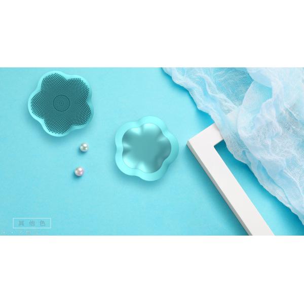 AC100V 180mAh Waterproof Facial Silicone Cleansing Brush