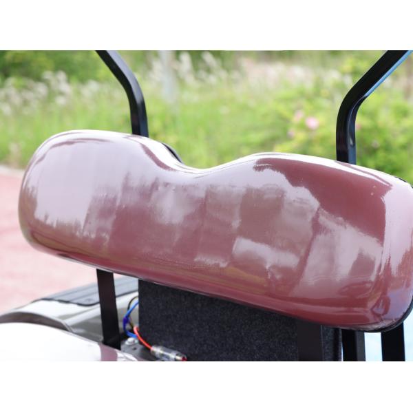 Off-road 2 Seater Golf Buggy Rechargeable Good Quality Golf Sightseeing Car