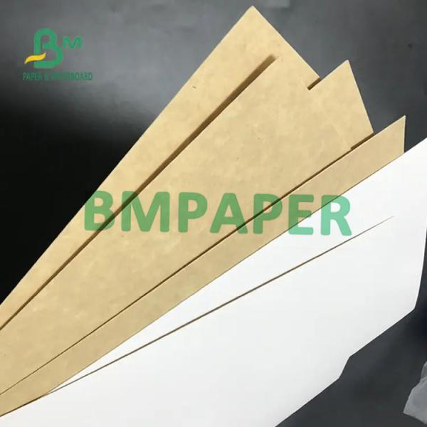 300g 325g 360g White / Kraft Cardboard Food Grade Coated 1 Side 300g 325g 360g White / Kraft Cardboard Food Grade Coated 1 Side