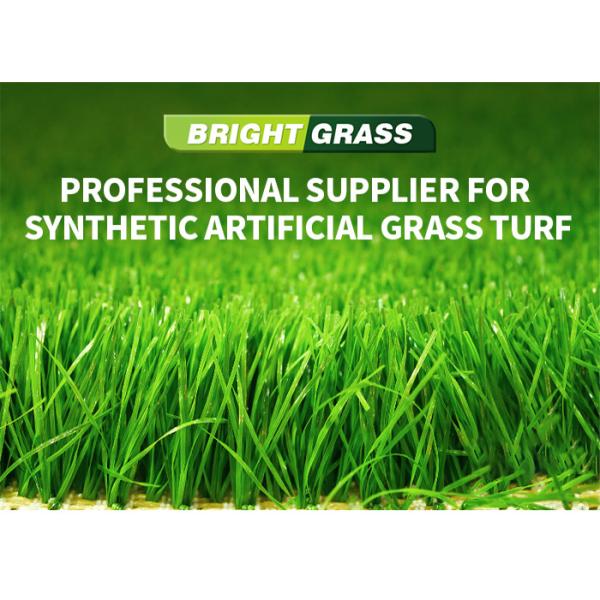 OEM ODM Commercial Artificial Grass Turf Roll SBR Latex Backing