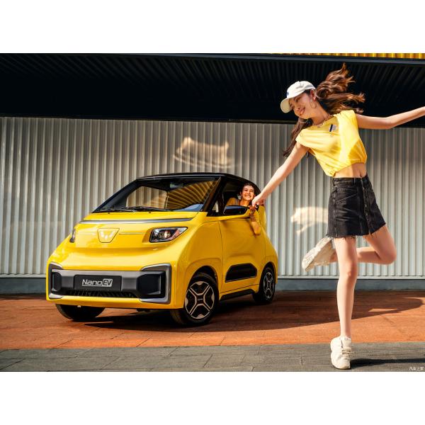 Pure Electric Wuling HongGuang Mini EV EV-854 100km/H 2 Seater