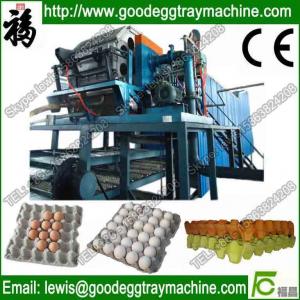 China High efficiency Paper egg tray injection molding production line on sale