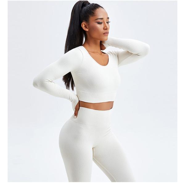 Stretchable Female Yoga Set Clothes Seamless Running Ribbed Crop Top Leggings