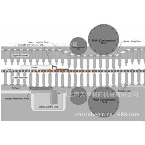 China Efficient Chlorine Tablet Press Machine Easy Operation High Speed on sale