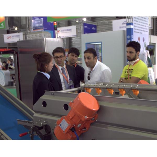 Food Processing Industries Commercial Potato Peeler Machine with Stainless Steel 304