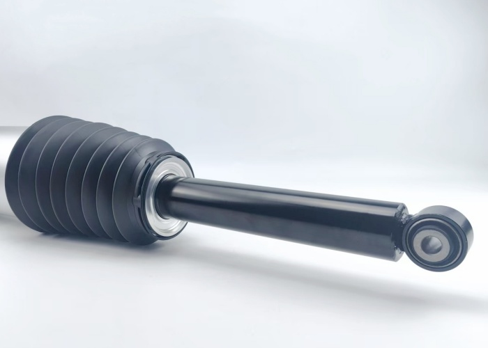 Rear Adjustable Air Shock Absorber RWD For Tesla Model S 2016-2020 1067466-00-D