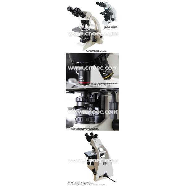 Laboratory Compound Optical Microscope Halogen Illumination Microscopes A12.1501