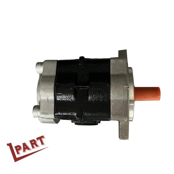 Forklift Cooling Parts Sliver Aluminum Hydraulic Gear Pump 1172001069