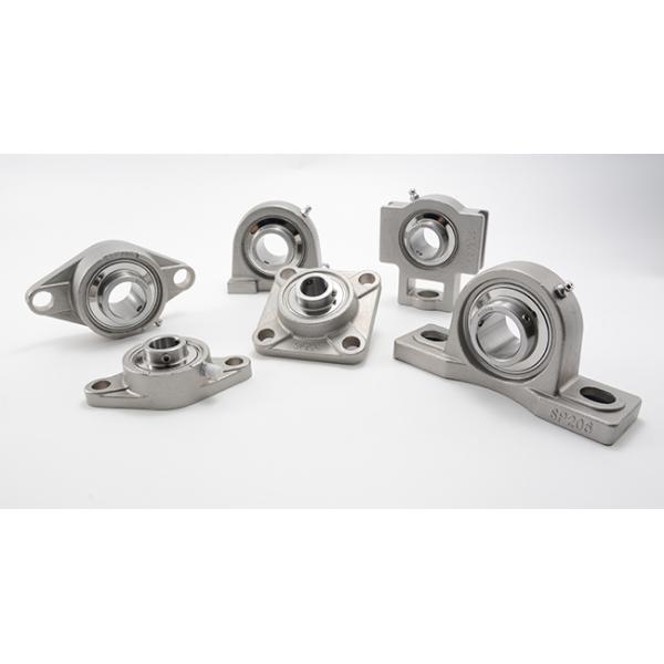 Heighten 2 Hole Flange Pillow Block Bearings Stainless Steel 440c SUCPH201