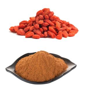 Quality Standardized Wolf Goji berry Fruit Extract Powder with 50% Polysaccharides for sale