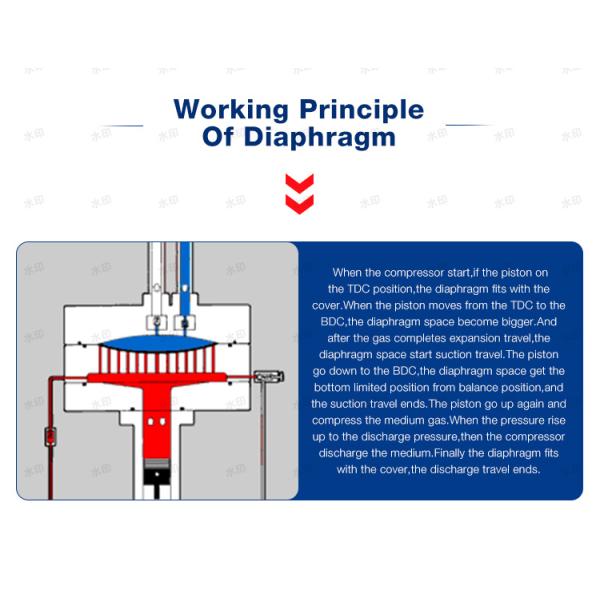 High Pressure Helium Gas Air Compressors Hydrogen Diaphragm Compressor Customizable