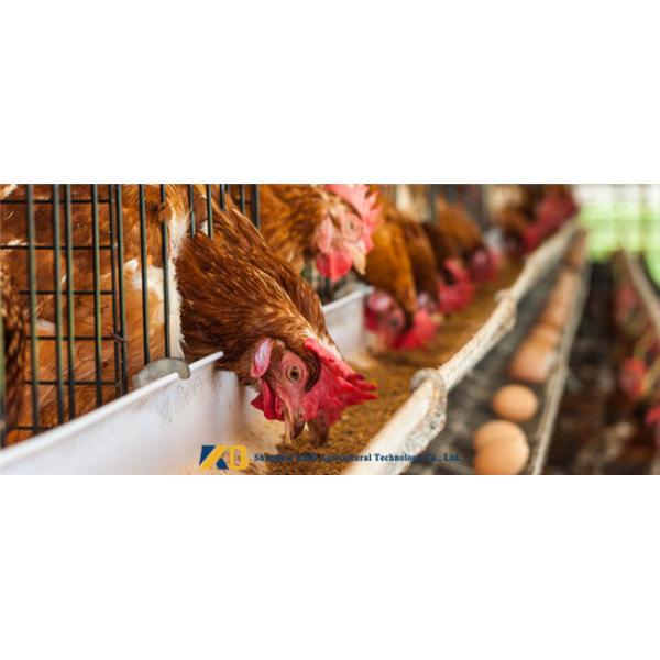 Fresh Non GMO Dried Fish Powder Easiness Decompose For Aquaculture Feed