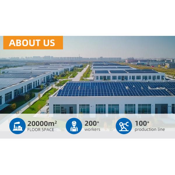 6m 12m Q235 Q335 Hot Rolled Pickled Coil A36 A572 SS400/ST37-2/ST52/S355JR/S235JR