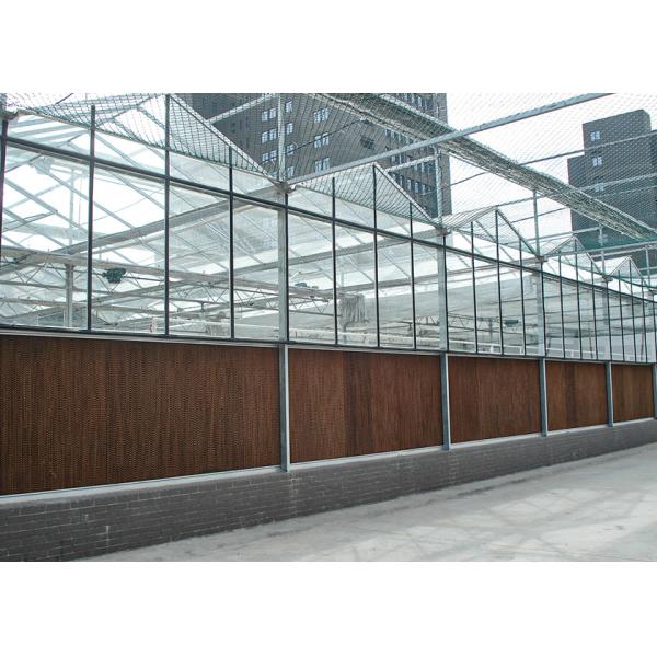 Heat & Cool Adjustable, Beautiful Good Looking VENLO Glass Greenhouses
