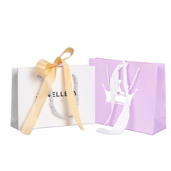 Luxury Printed Custom Logo Clothing Gift Paper Packaging Bags with Hand Length Handle