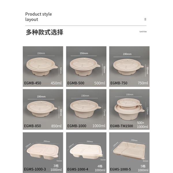 1200ML 145*145*45mm Biodegradable Takeaway Boxes 6 Compartment Disposable Food Tray