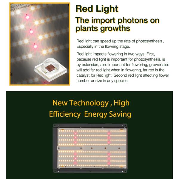 Deep Red 120W LM301B Quantum Board 660nm SAMSUNG Horticulture Grow Lights