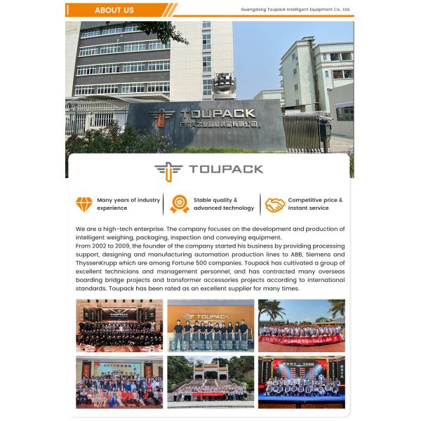 Automatic 200g 300g 500g Vertical Form Fill And Seal Powder Filling Machine Whey Protein Powder Packing Machine