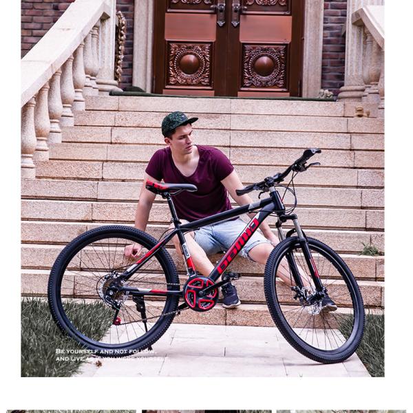 29 inch Mountain Bike 24 Speed OEM Bicycle with Steel Fork and Customizable Options