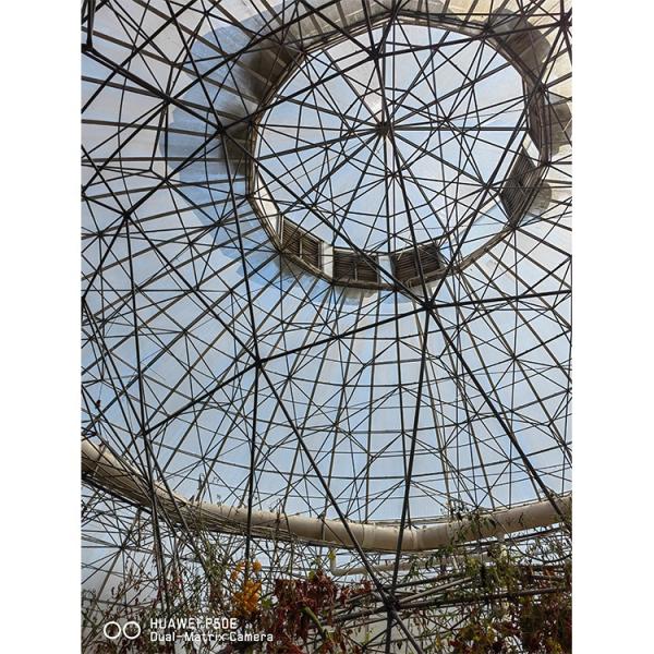Film Surface Custom Garden Geodesic Dome Greenhouse Galvanized Steel with Grow Tent