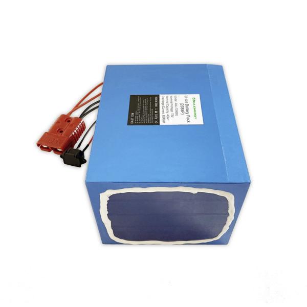 72V 50Ah Li Ion E Bike LiFePO4 Battery Packs Built In 50A BMS