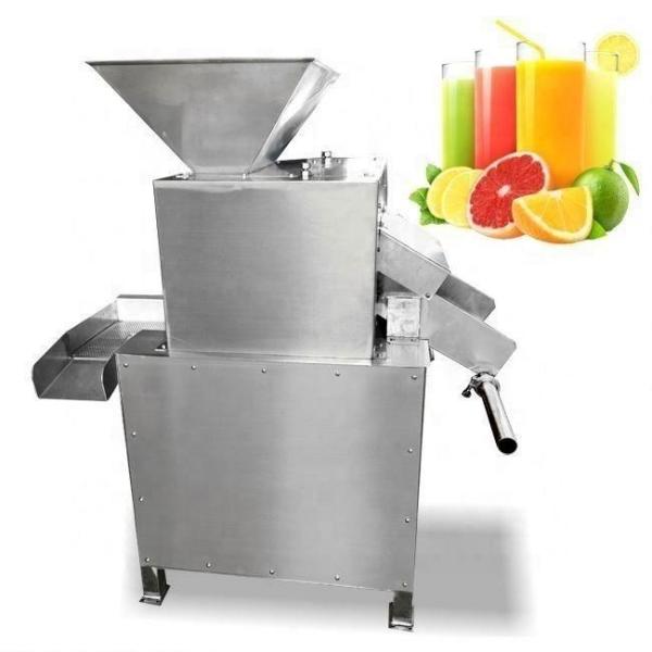 Electric Juicer Extractor Machine Making Fresh Squeezed Orange Lemon Juice