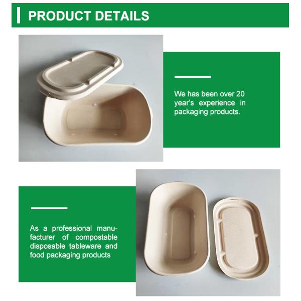 500ml 1200ml Reusable Sugarcane Bagasse Biodegradable Microwave Safe Containers Eco Friendly