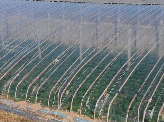 Customized Size Film Cover The Ultimate Solution for Agricultural Stretch Film Roll