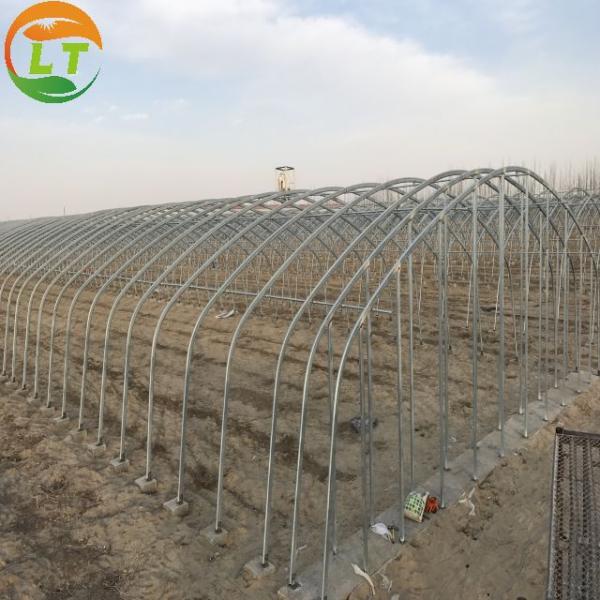 High Land Utilization Single-Span Greenhouse by LiTai Super Strong Resistance Guaranteed