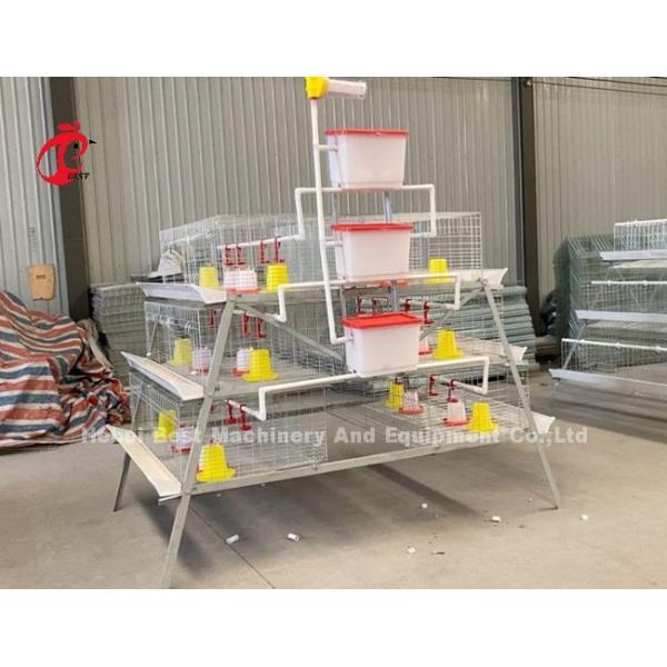 Intelligent Poultry Battery Cage System Semi Automatic And Automatic For Broilers Iris