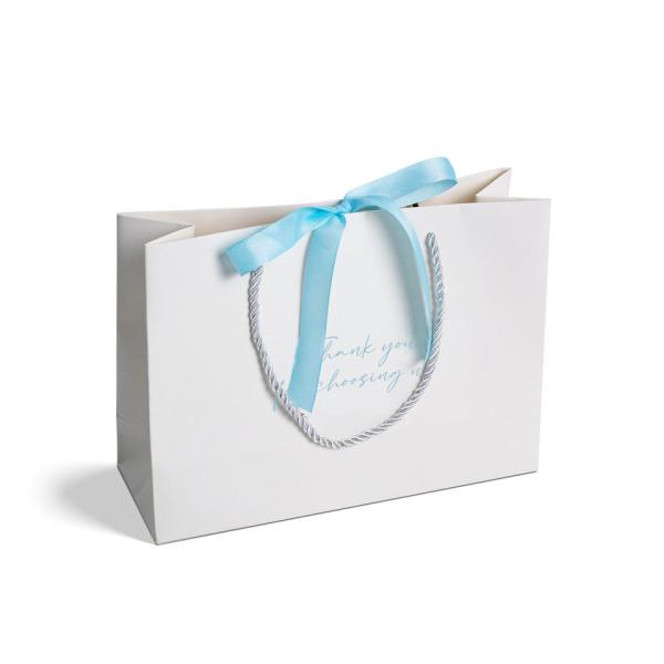 Luxury Printed Custom Logo Clothing Gift Paper Packaging Bags with Hand Length Handle