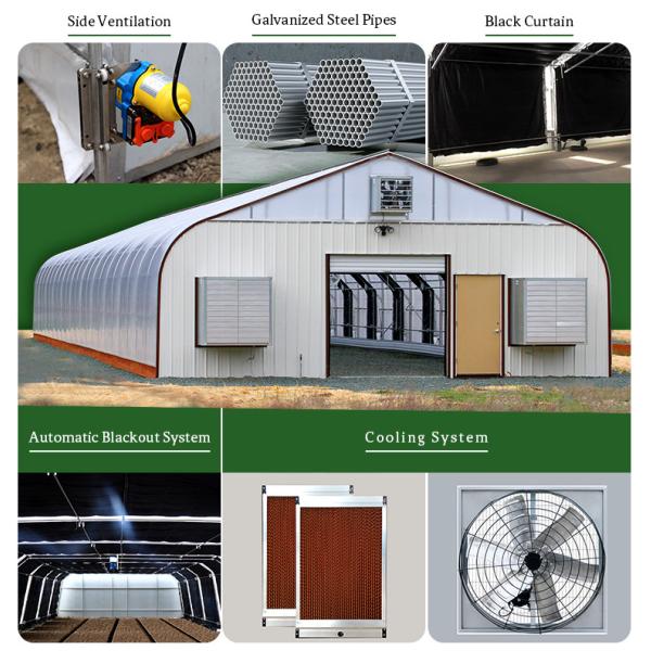 Increase Yield and Quality Customizable Dimensions Mushroom Herb Grow Shading Light Deprivation Greenhouse Black Film Greenhouse