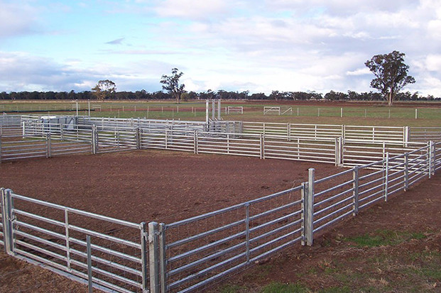 Quality Galvanized Pipes Easily Assembled Sheep Fence Panels for sale