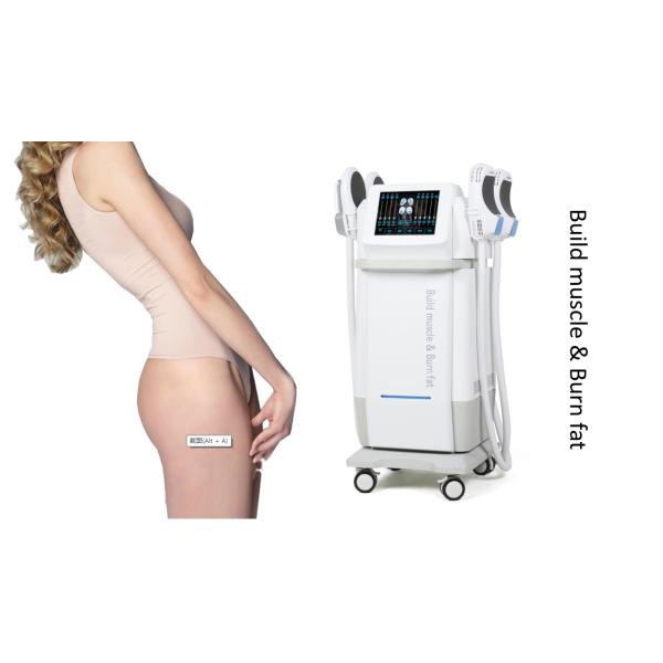 5000W Emslim Neo Machine 110V / 230V RF Machine For Fat Reduction