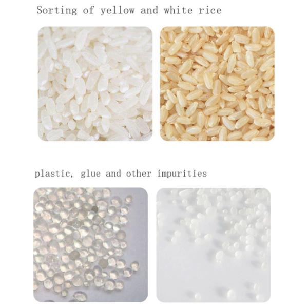 Latest Market Price Automatic Rice Color Sorter For Rice Milling Plant