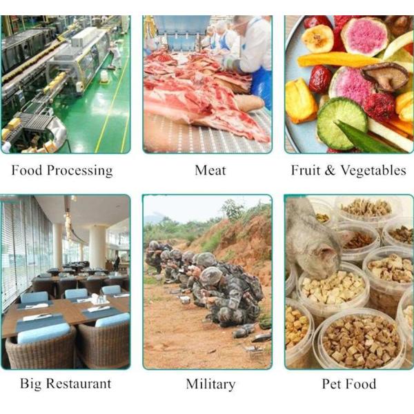 2.25m2 Freeze Drying Machine For Fruit, Food And Vegetable Preservation