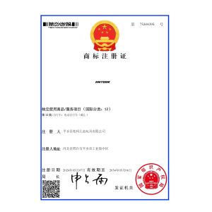 Pingxiang County Songma Children's Toys Co., Ltd. Certifications
