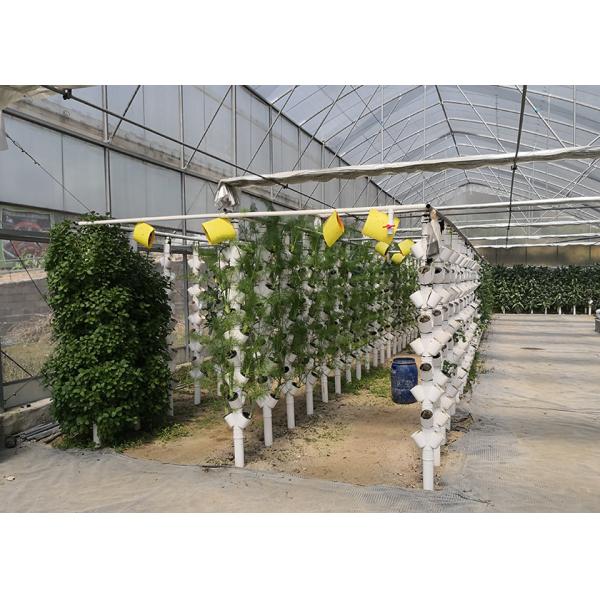 Multi Tier NFT Hydroponics System Strong Adaptability For High Density Planting