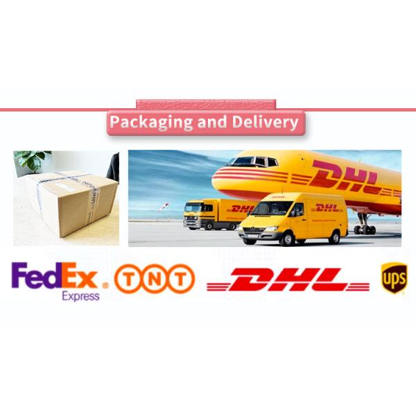 Small Volume Intelligent Control Instrument for High-Precision Data Output Display